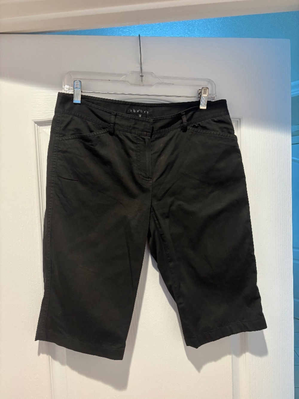 Theory Shorts